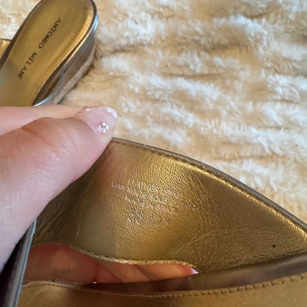 Antonio Melani Wedge Flip Flop